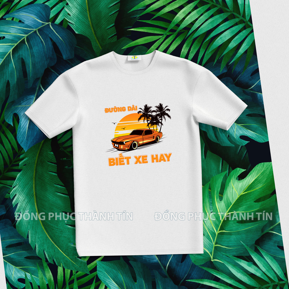 ÁO PHÔNG NHÓM MS 17